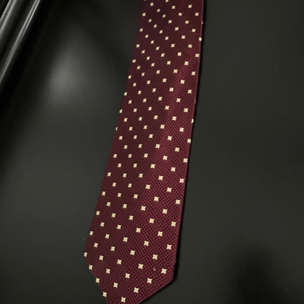 Salvatore Gregorio Men’s Tie